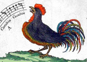 Canto del Gallo